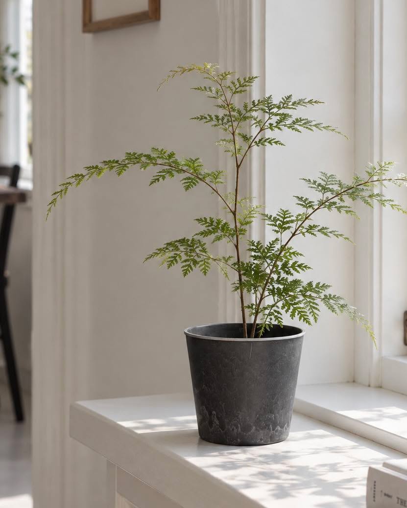 Pot effet béton - Moyen