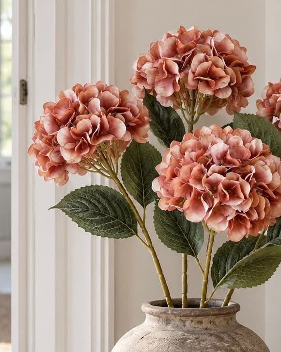 Hortensia couleurs brûlées - Mix