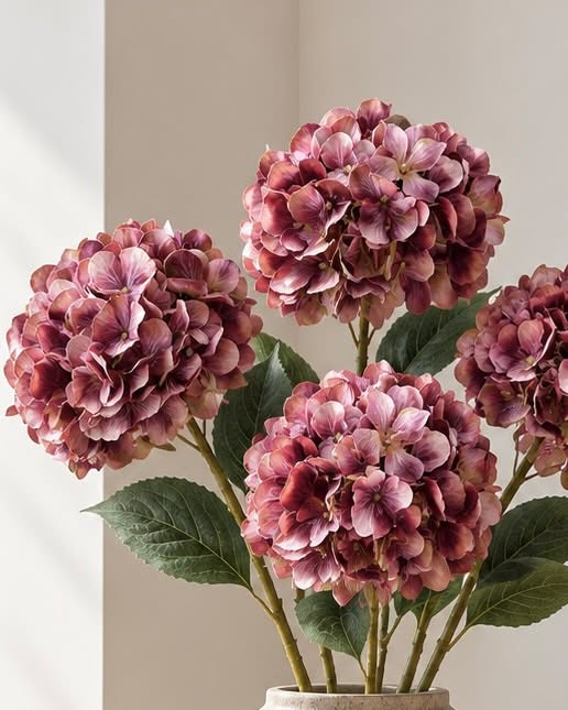 Hortensia couleurs brûlées - Mix