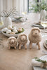 Petit mouton Nature – Petit