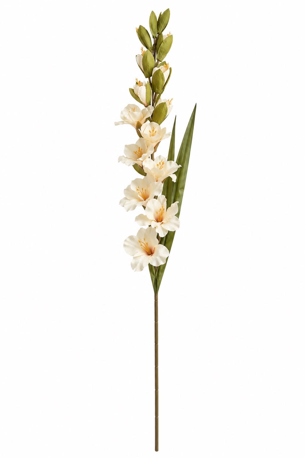 Gladiolus MIX – Fleur artificielle