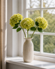 Tige d'hortensia - Vert citron
