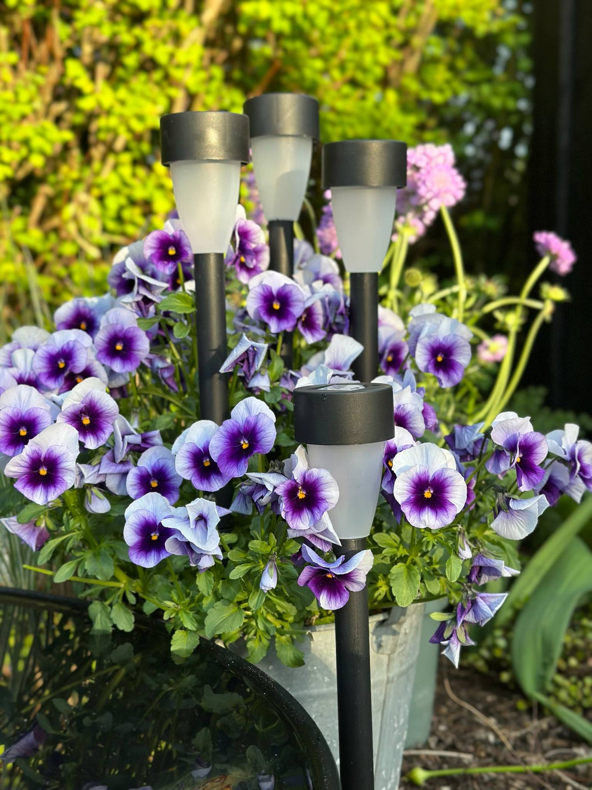Torche avec panneau solaire – Lot de 4 pièces