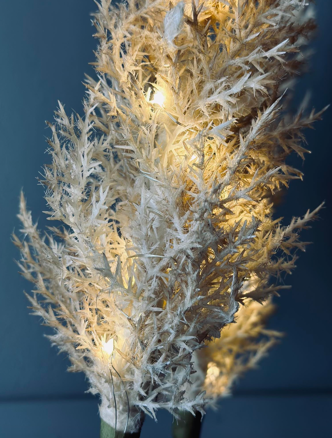Pampas avec lumière LED - 118 cm