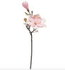 Tige de fleur magnolia
