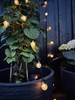 Guirlande lumineuse Bella avec 20 ampoules – Solaire