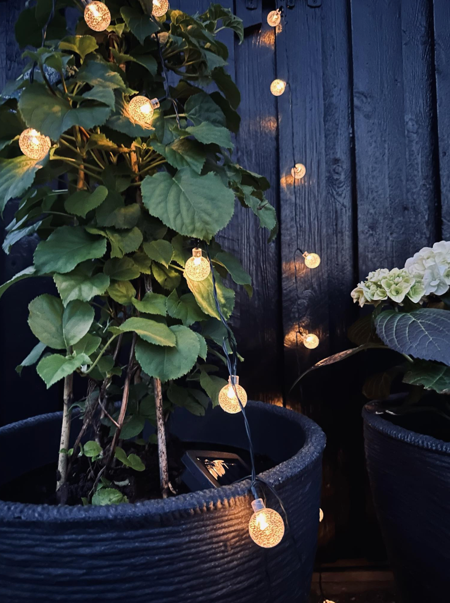 Guirlande lumineuse Bella avec 20 ampoules – Solaire