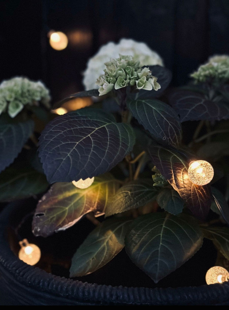 Guirlande lumineuse Bella avec 20 ampoules – Solaire