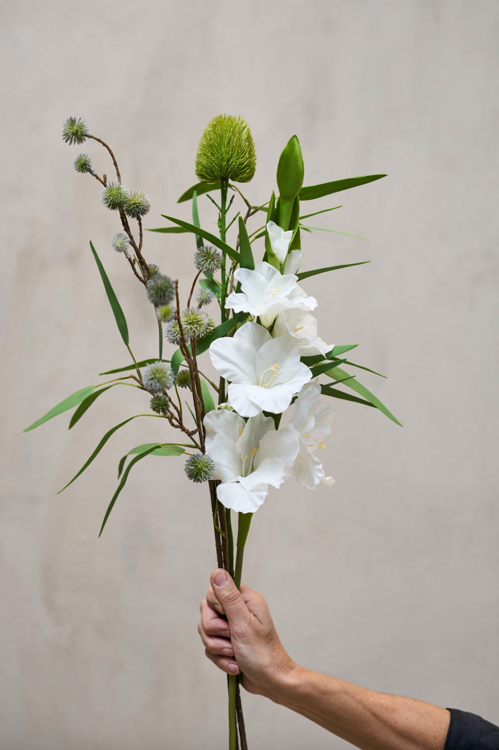 Tige de gladiolus