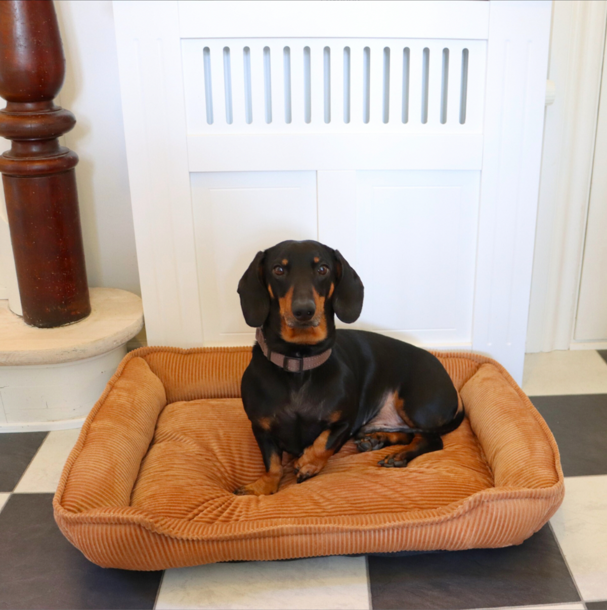 Panier pour chien en velours 70x52 cm