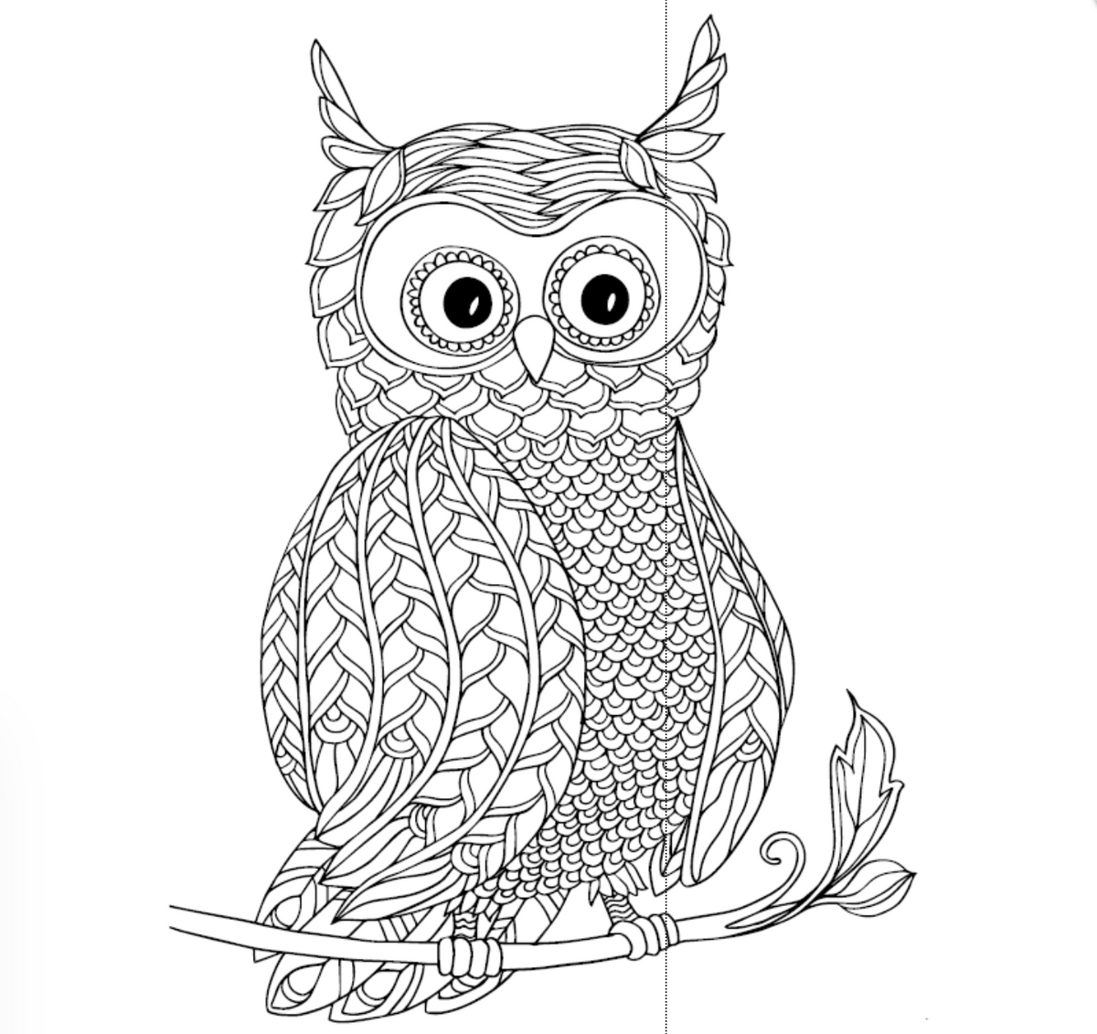Livre de coloriage pour adultes - MIX