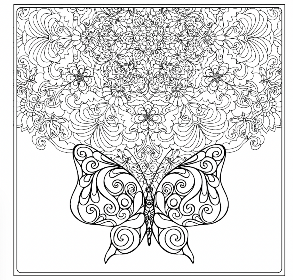 Livre de coloriage pour adultes - MIX