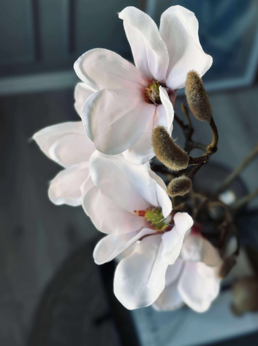 Branche de magnolia - Rose 52 cm