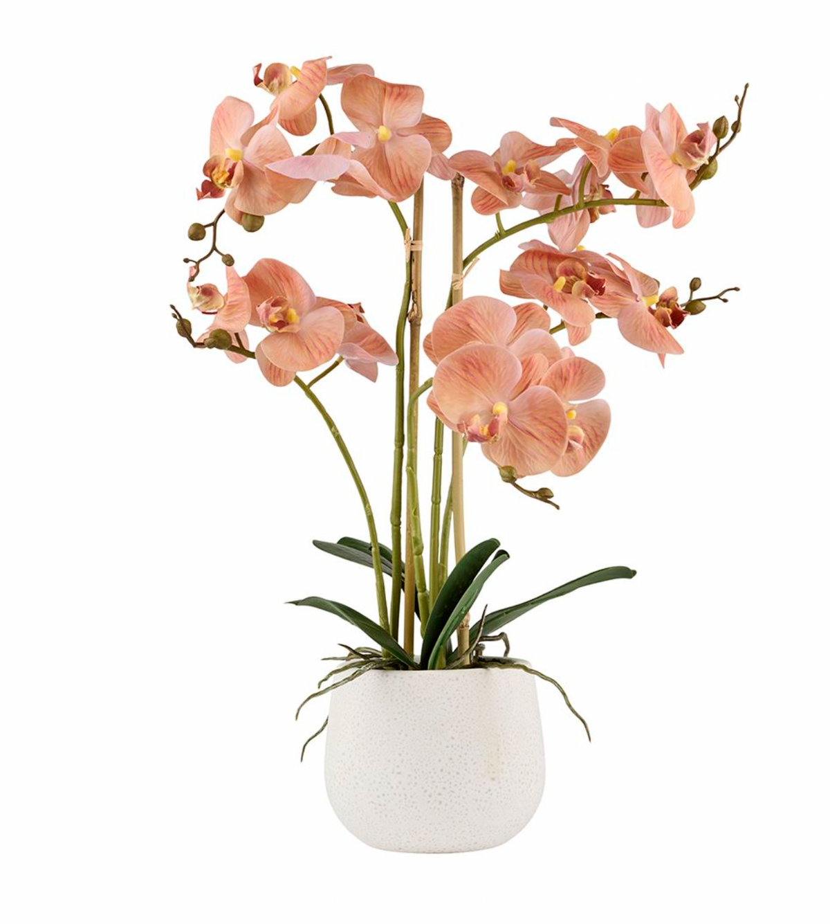 Orchidée en pot - Rose 50cm