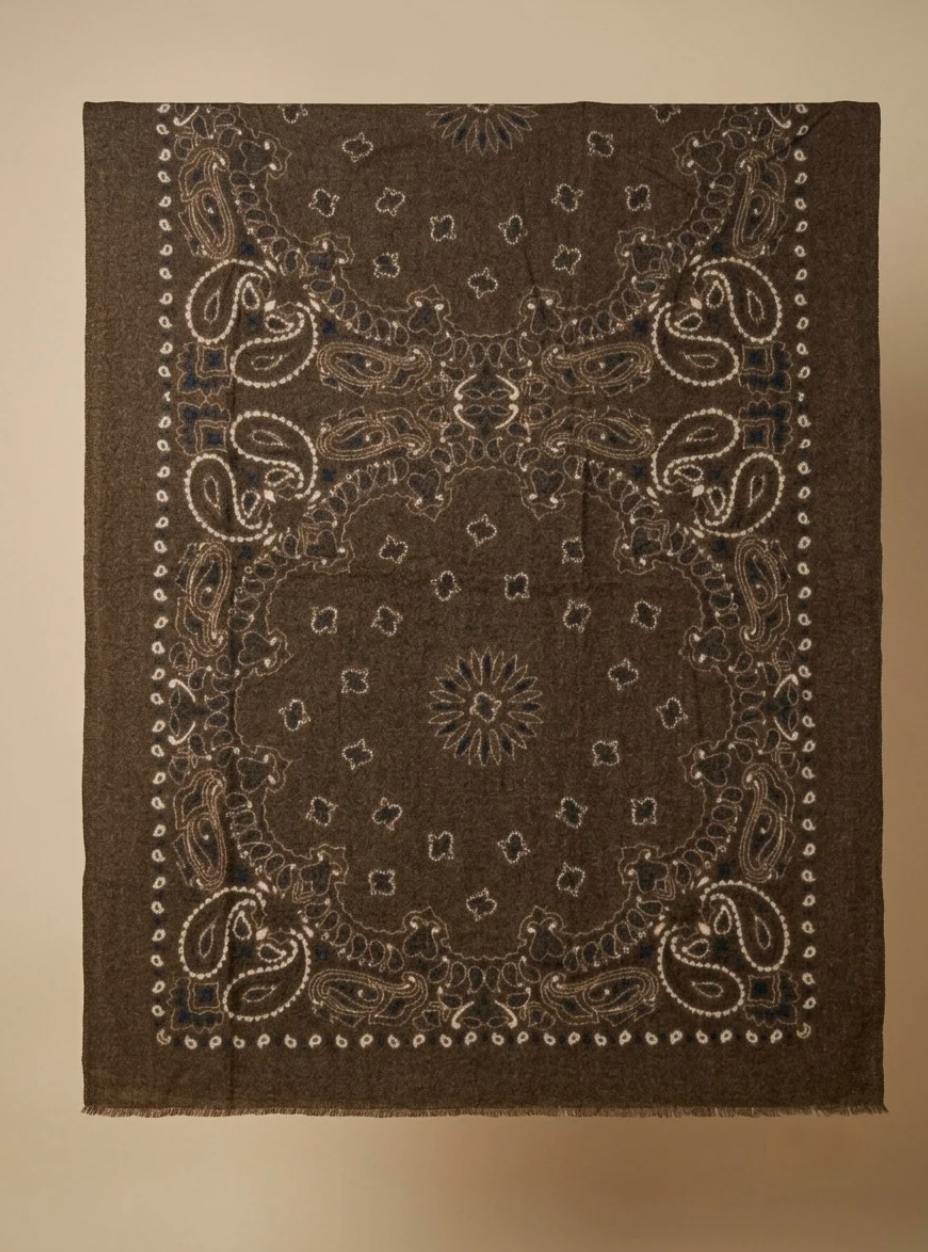 Écharpe Cashmere mix - brown