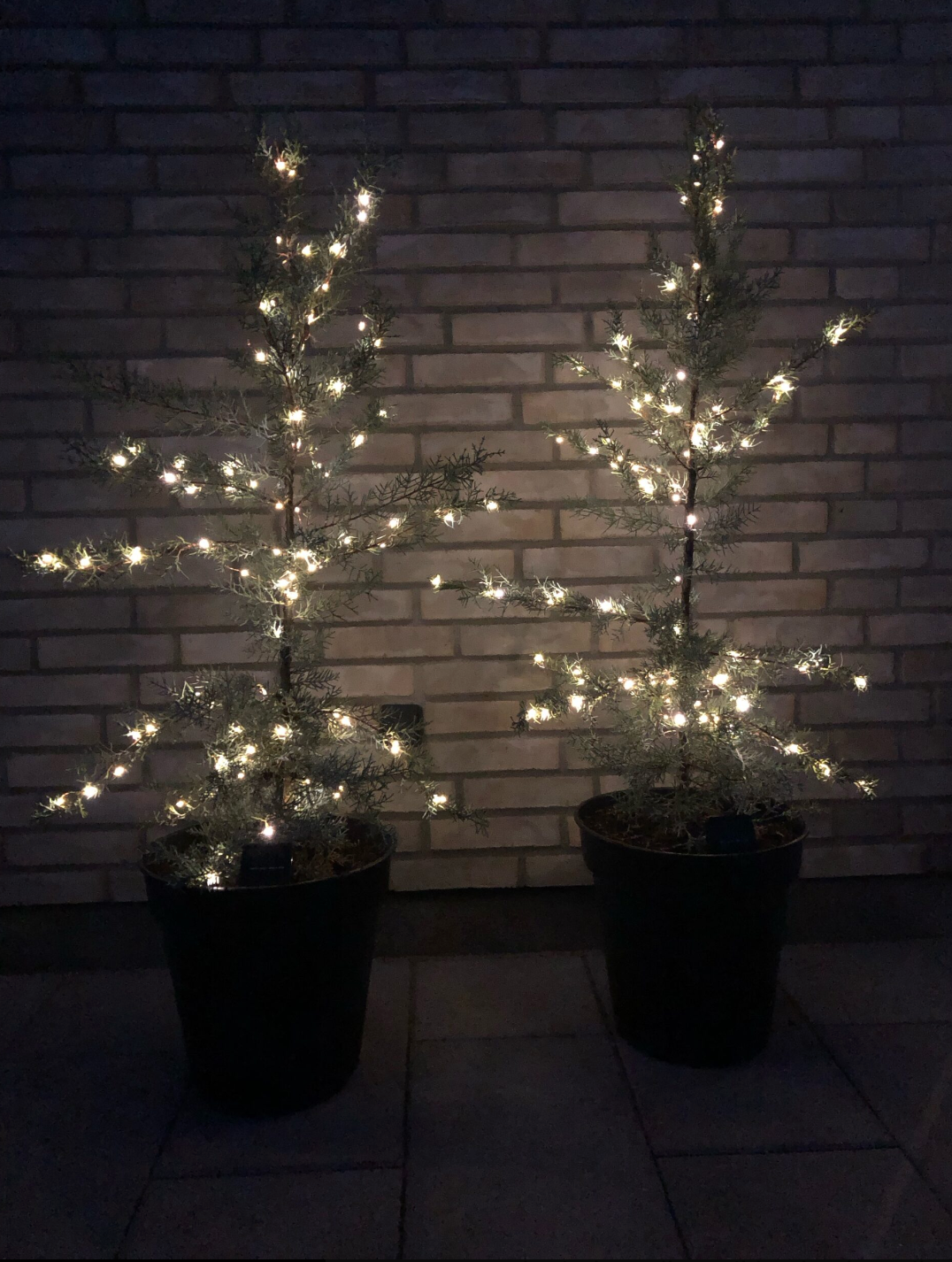 Guirlande lumineuse Marly avec solaire - 100 lumières