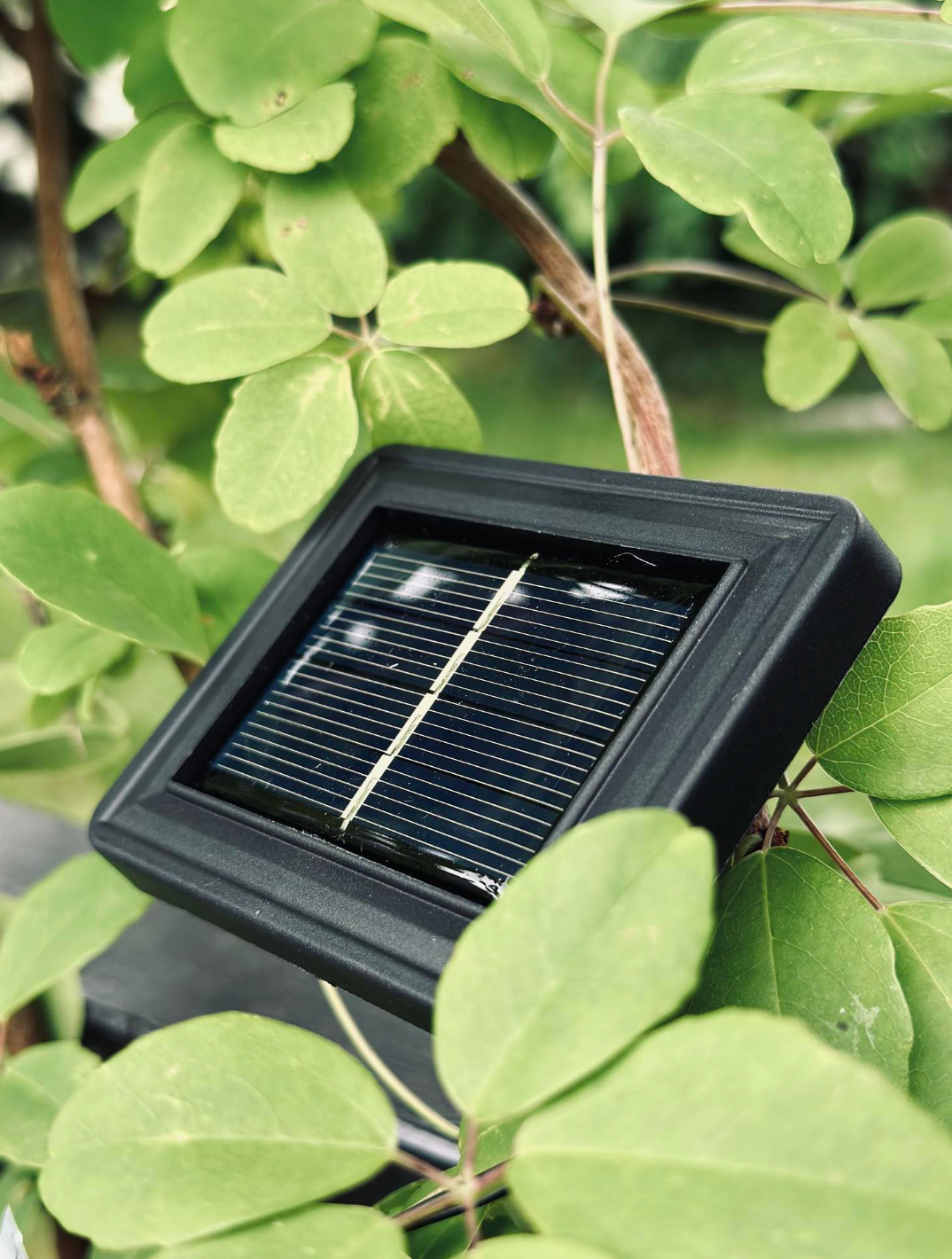 Guirlande lumineuse BELLA avec cellules solaires et 15 ampoules