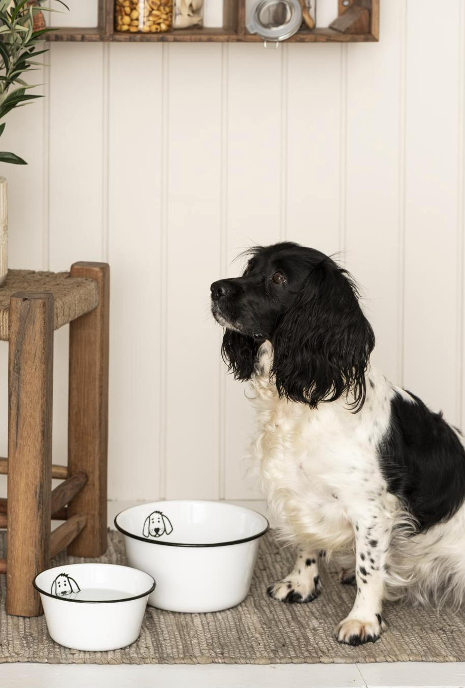 Gamelle pour chien en émail - Petite