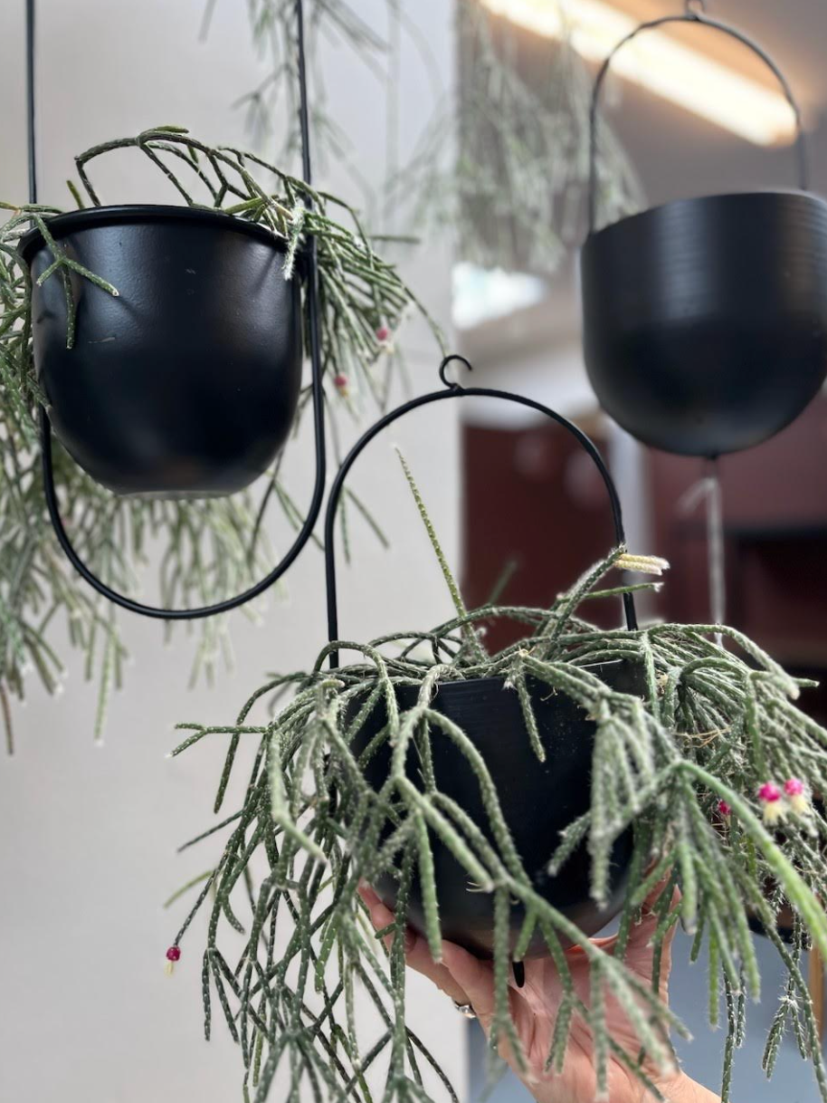 Pot avec crochet - Black