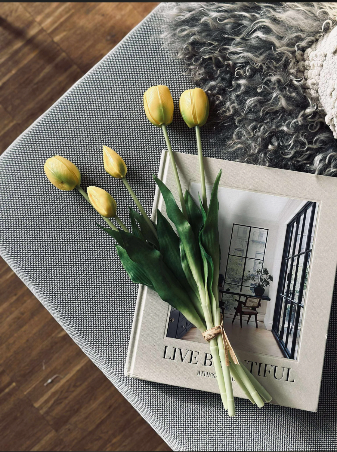 Tulipes – Plusieurs couleurs