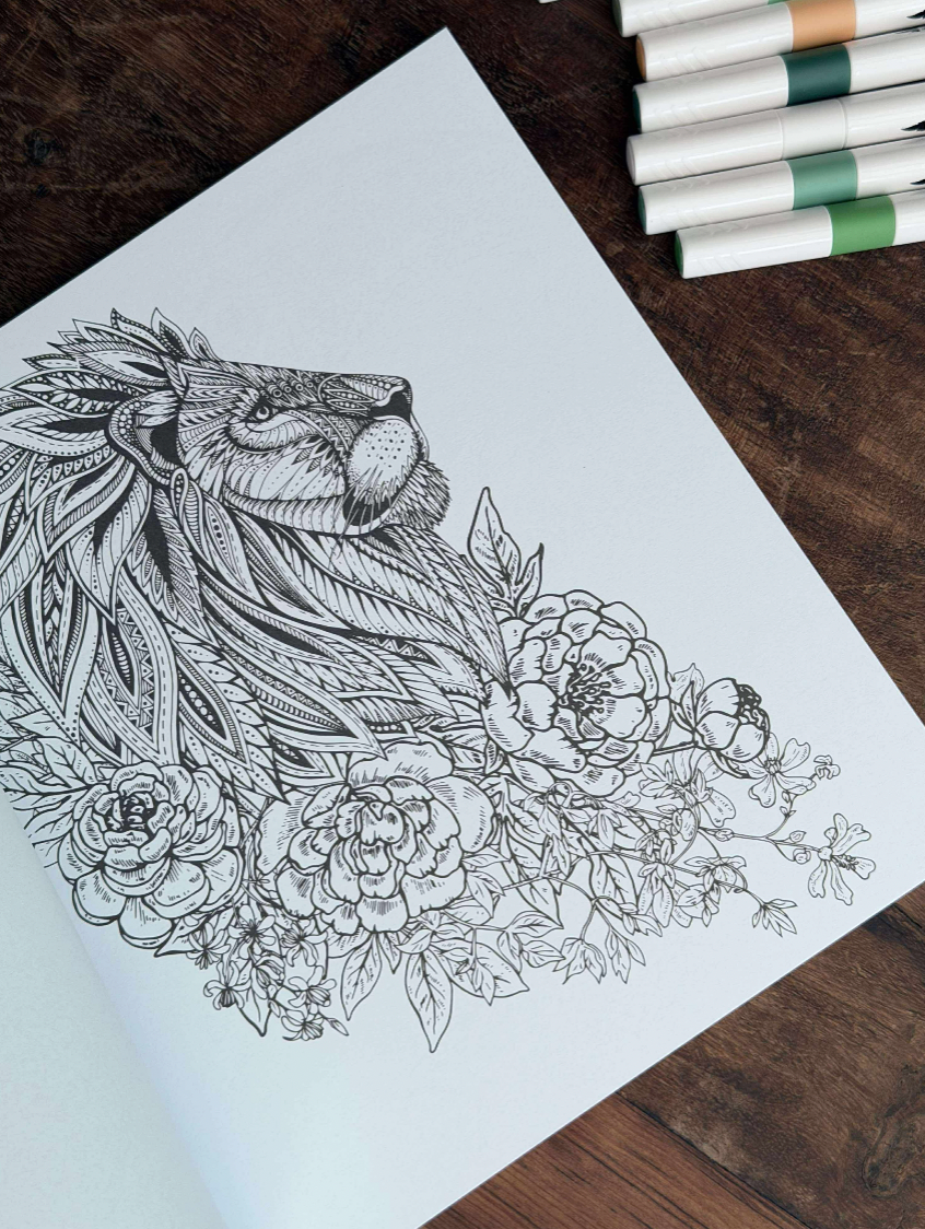 Livre de coloriage pour adultes - MIX