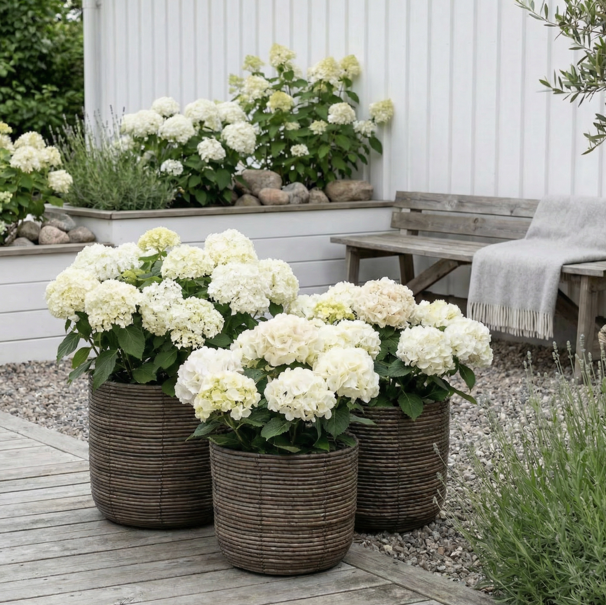 Paniers à plantes DARK RATTAN - plusieurs tailles