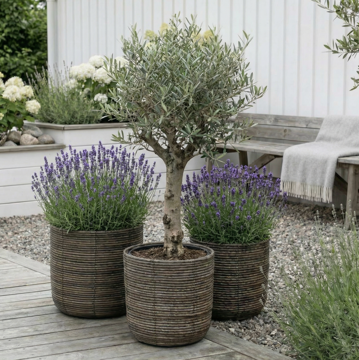 Paniers à plantes DARK RATTAN - plusieurs tailles