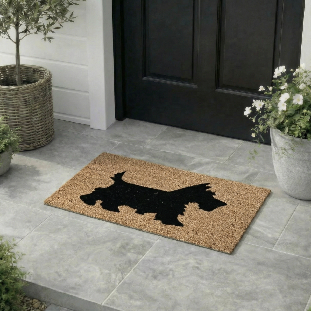 Tapis de porte - Coco Chien