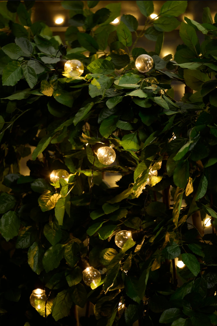 Guirlande lumineuse Sasline à énergie solaire