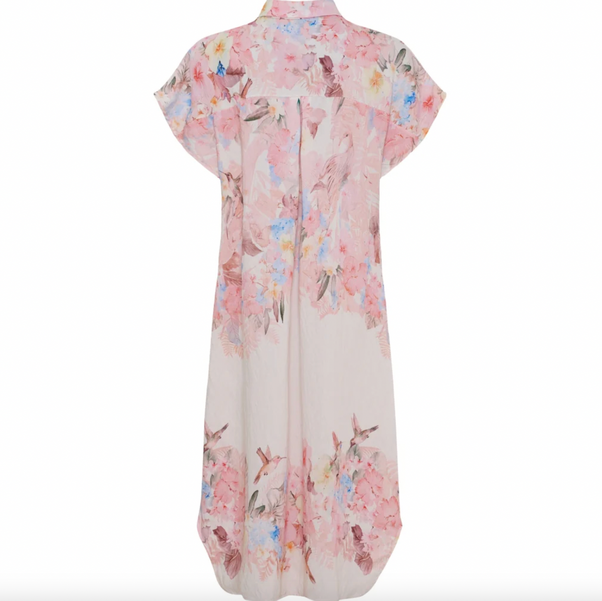 Robe Felisa Rosa