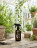 Pulvérisateur à fleurs en verre brun 500 ml