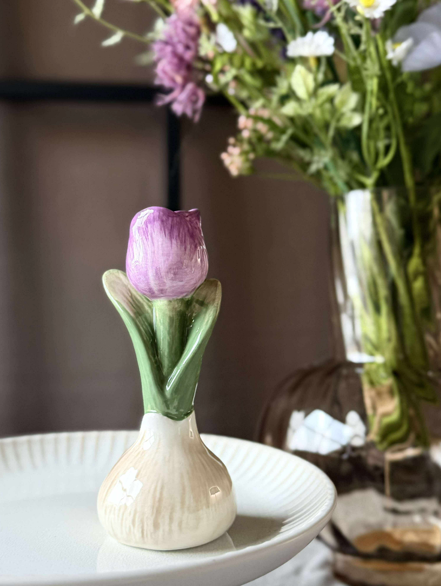 Bulbe de tulipe - 6 couleurs