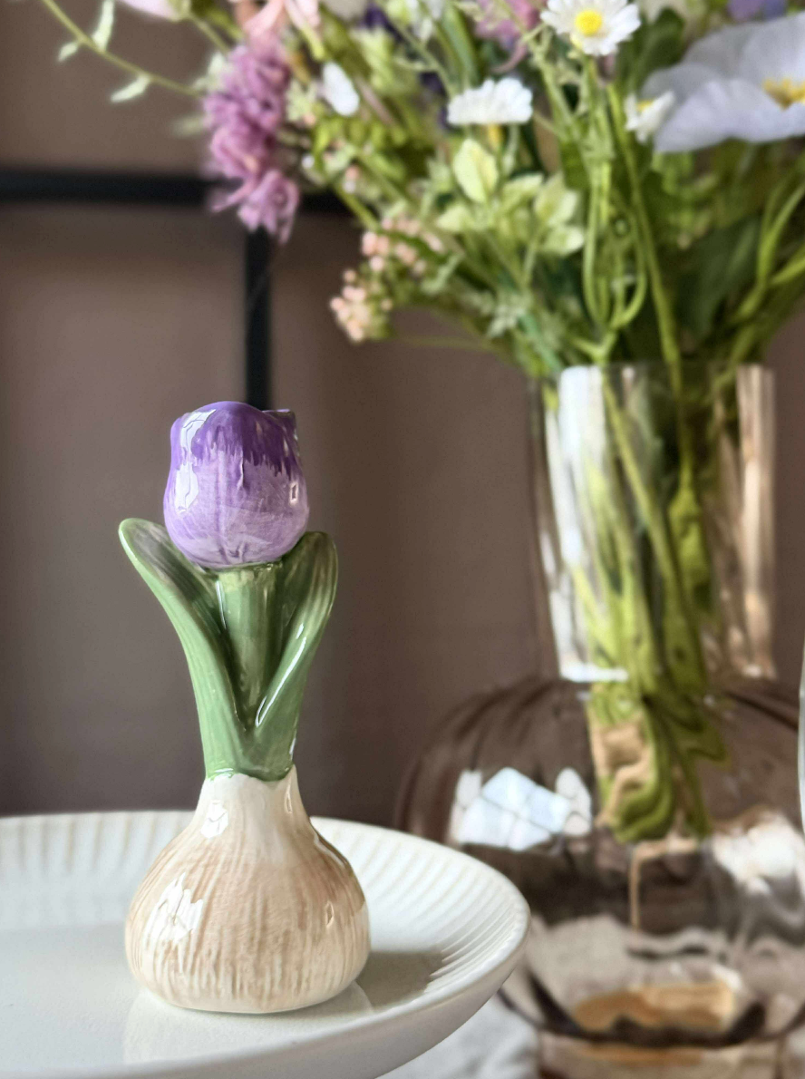 Bulbe de tulipe - 6 couleurs