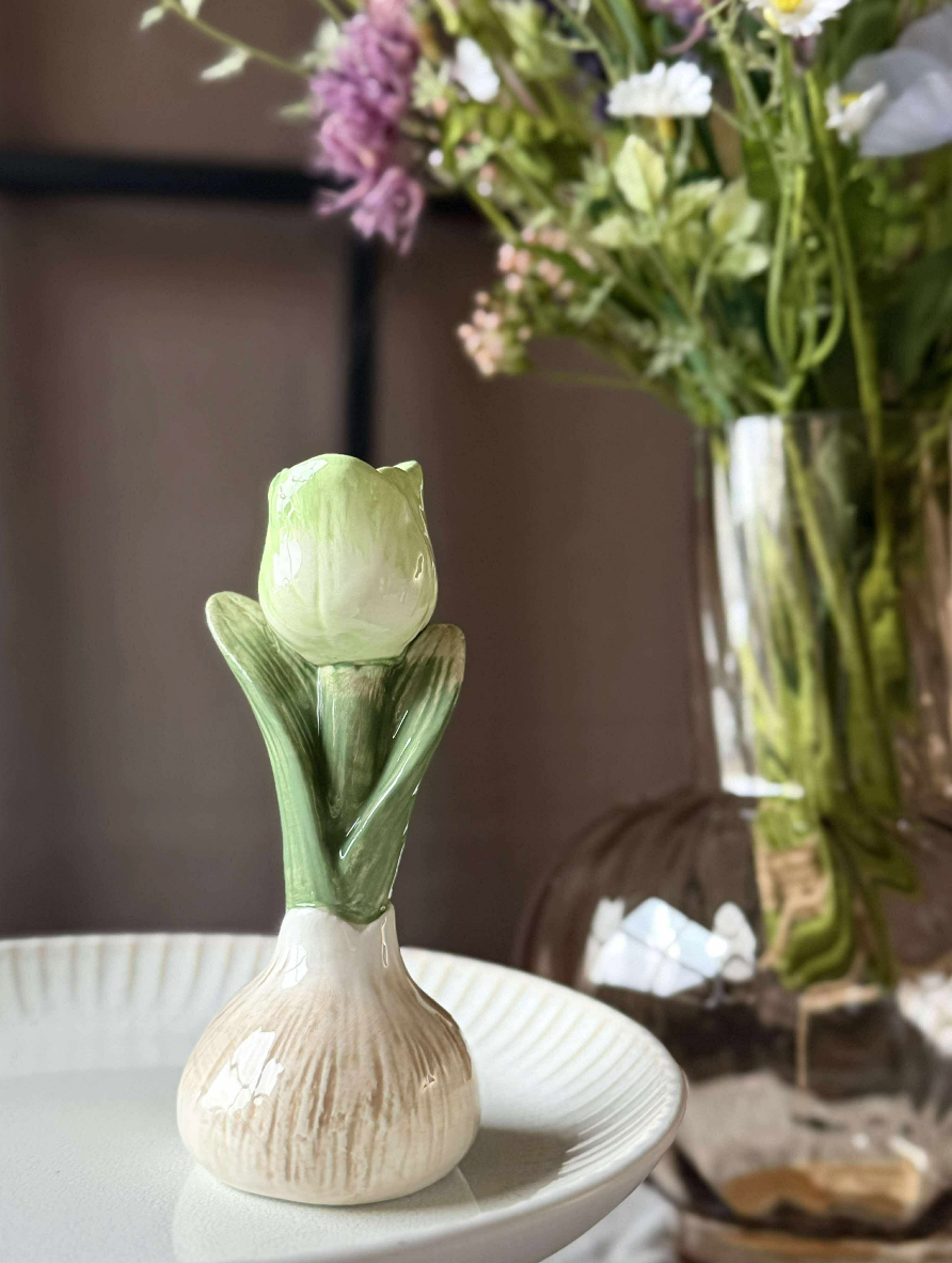 Bulbe de tulipe - 6 couleurs