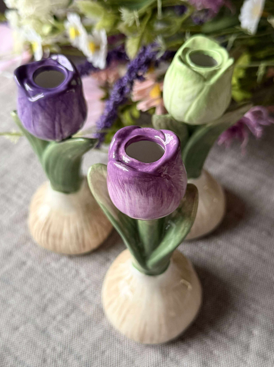Bulbe de tulipe - 6 couleurs