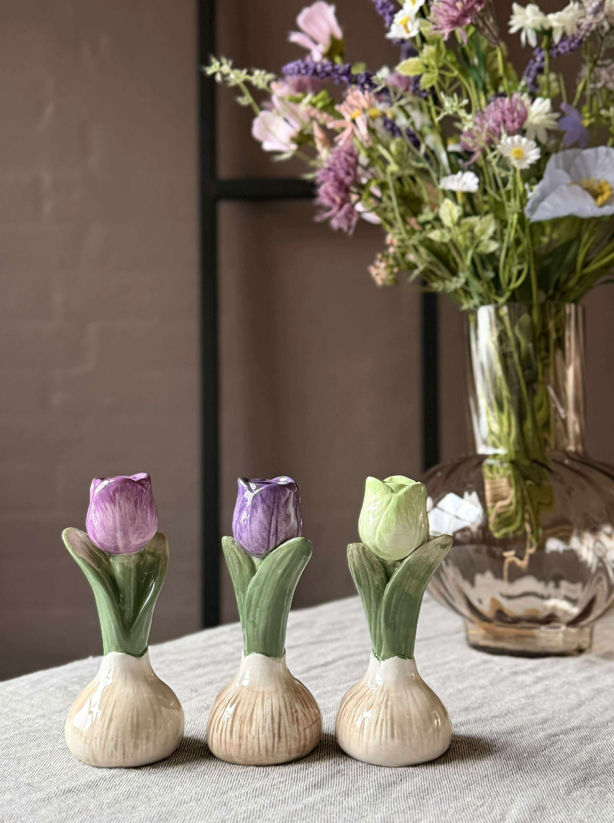 Bulbe de tulipe - 6 couleurs