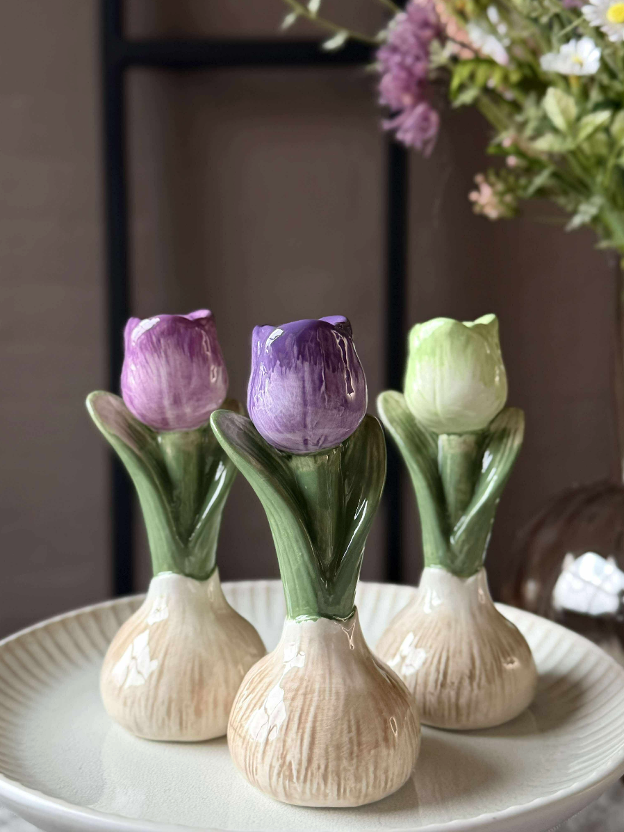 Bulbe de tulipe - 6 couleurs