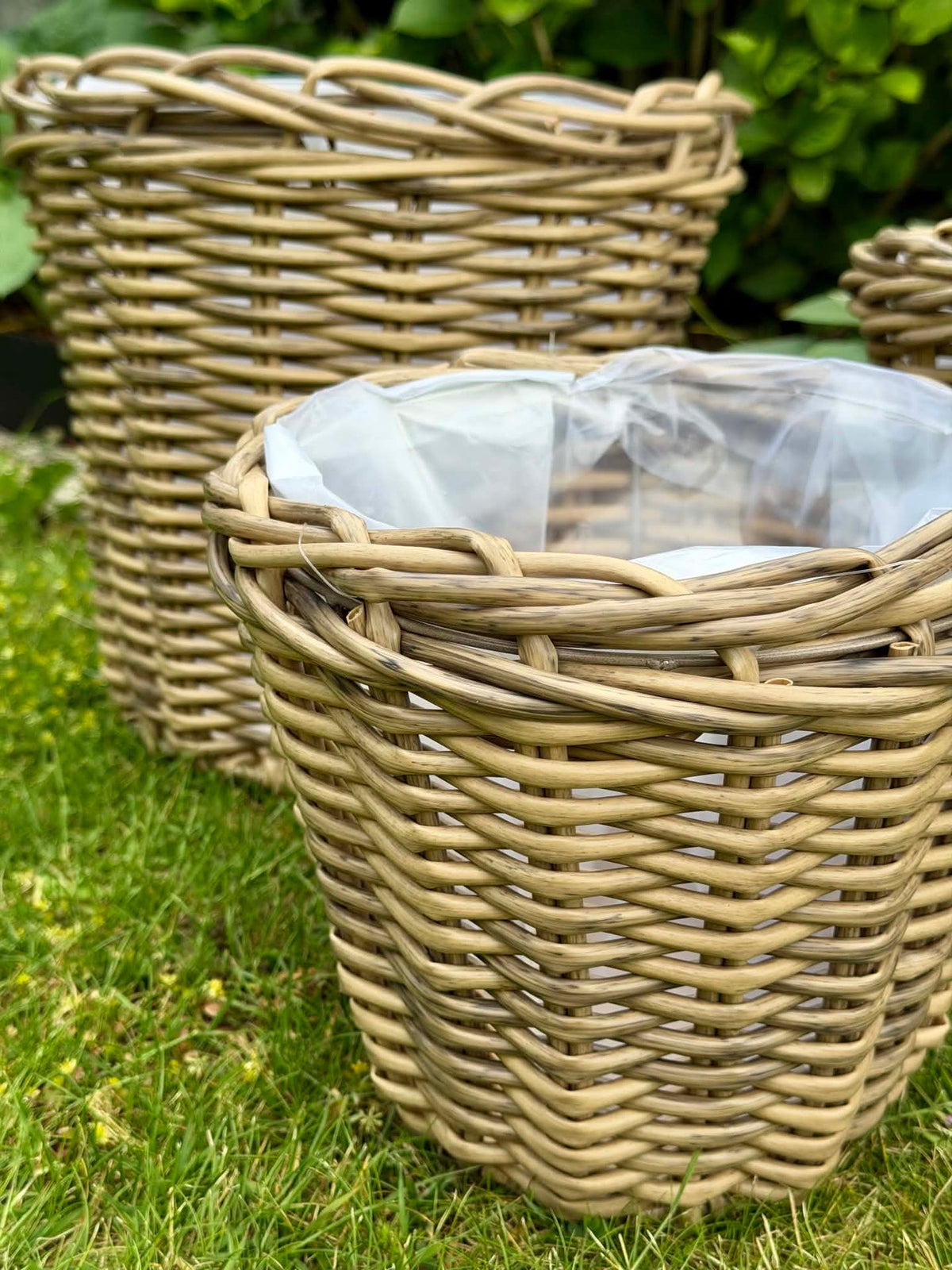 Corbeilles à plantes naturelles - 3 pcs