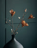 Fleur, Magnolia, Brun