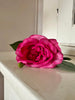 Fleur Rose Rose foncé