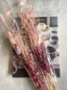 Composition mix - Rose