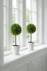 Arbre sur tige