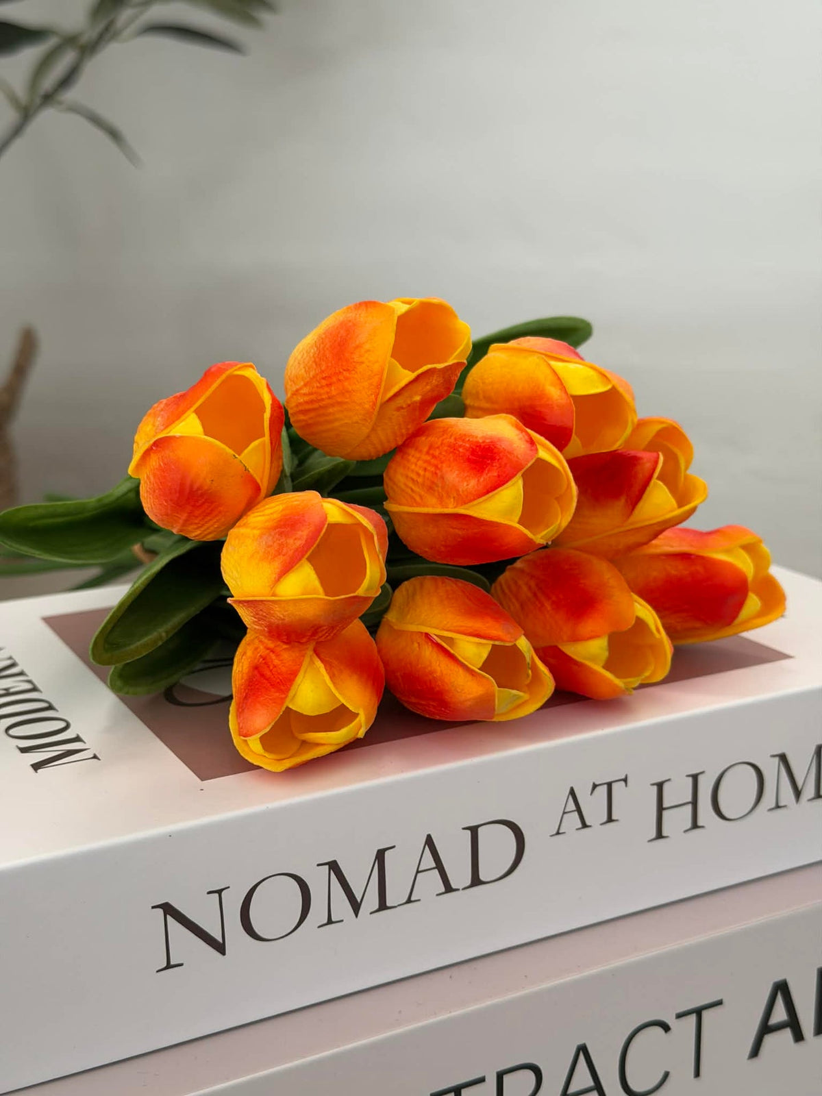 Tulipes 10 pcs – Plusieurs couleurs