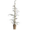 Cèdre avec lumière LED 130 cm - DELUXE