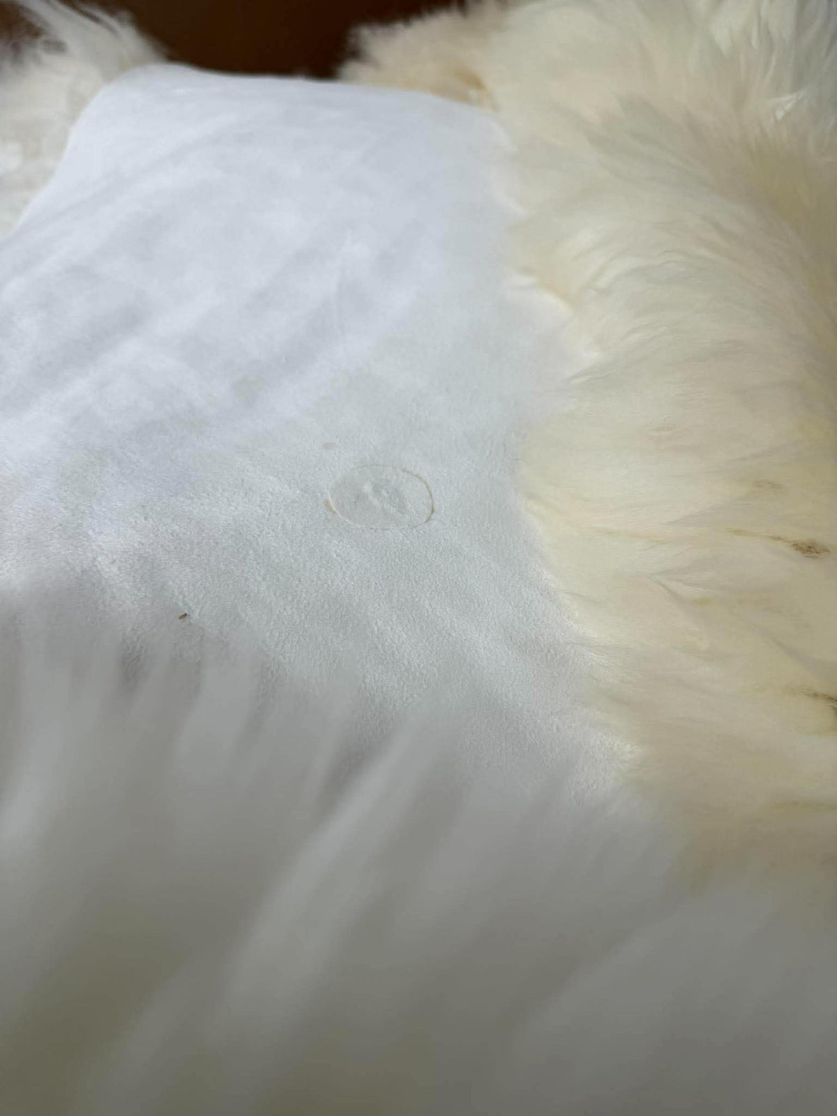 Peau d’agneau White/creme – Peau naturelle douce