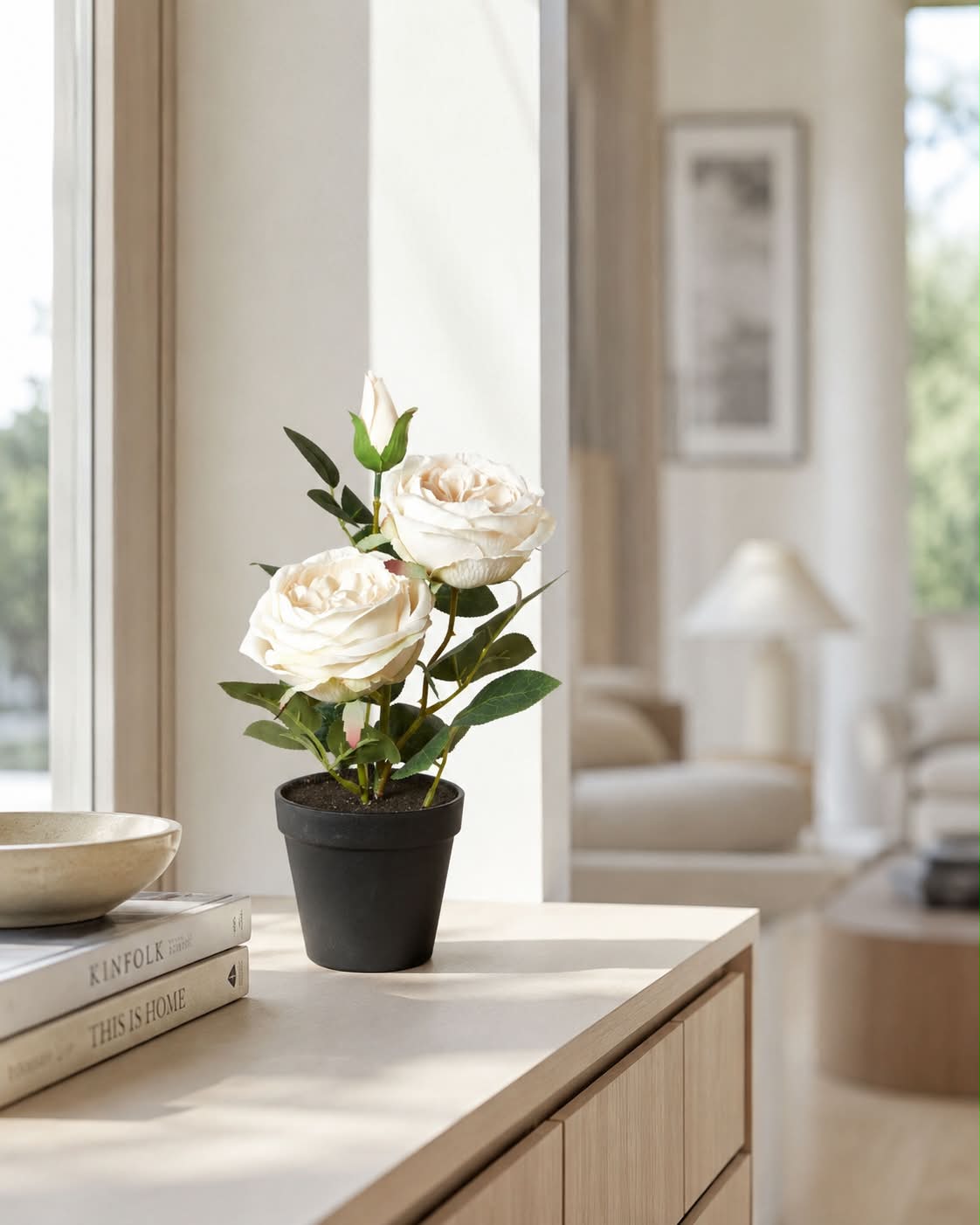 Rose en pot - Blanche