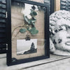 Tableau d’affichage décoratif en armoire avec couvercle en verre