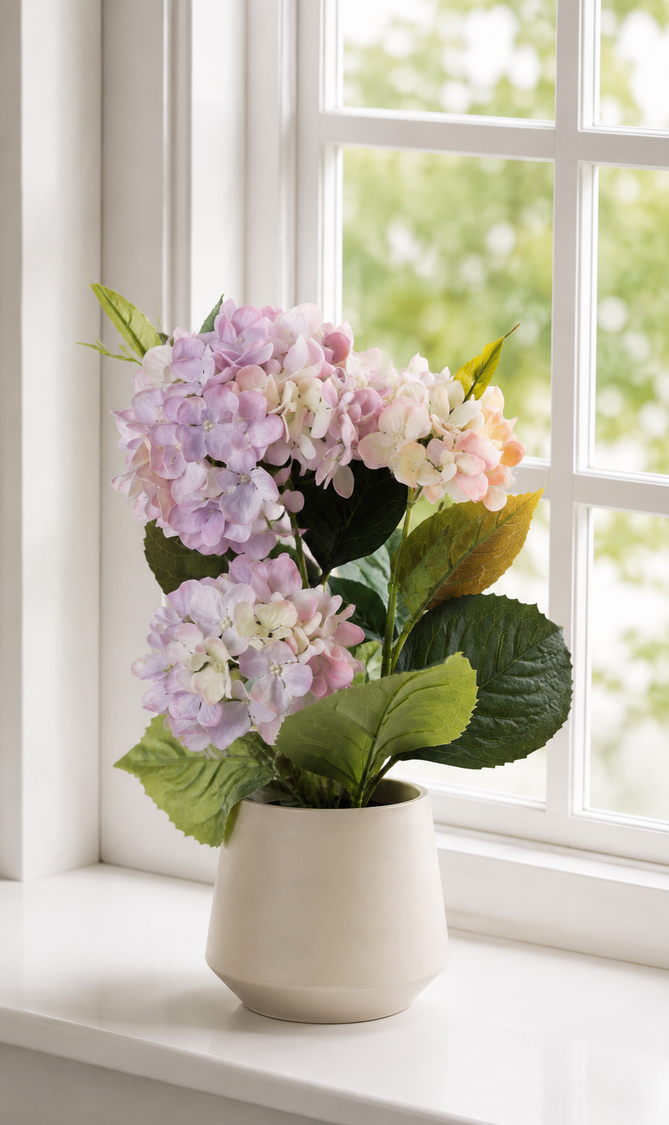 Hortensia en pot - Lilas
