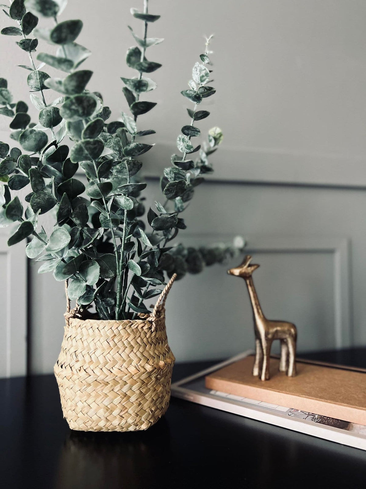 Eucalyptus med kurv - VIAMAJA.DK