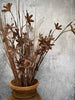 Fleur éternelle – Tige 60 cm Brun